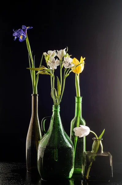 Flores Nas Garrafas Garrafa Diferente Longo Curto Amarelo Azul Branco — Fotografia de Stock