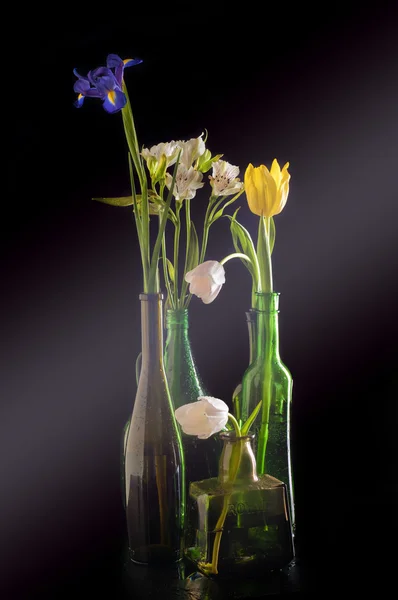 Цветы в бутылках, различные бутылки длинный короткий желтый синий — стоковое фото