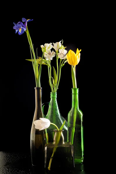 Flowers Bottles Different Bottle Long Short Yellow Blue White Brown — Stock Photo, Image