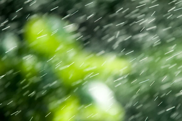 Θόλωμα Της Εστίασης Καλοκαιρινή Βροχή Υγρασία Συμπυκνώνεται Από Την Ατμόσφαιρα — Φωτογραφία Αρχείου