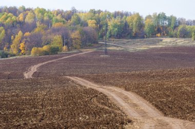 Sonbahar, yolun asfaltsız, taze sürülmüş alan, güzel sonbahar ağaçlarıyla kaplı bir tepe