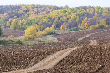 Sonbahar, yolun asfaltsız, taze sürülmüş alan, güzel sonbahar ağaçlarıyla kaplı bir tepe
