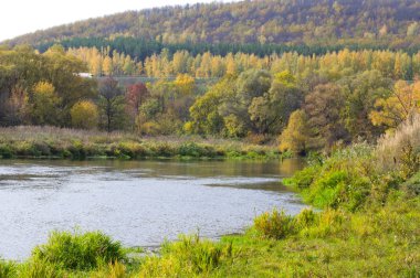 Karışık orman, renkli Ağaçlar Sonbahar. nehir tepe. Soğuk su