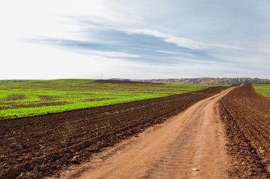 Sonbahar, pastırma yazı. geç sonbaharda meydana gelen olağandışı kuru, sıcak hava bir süre. Ekilebilir arazinin, huş ağacı, Kuru ot,