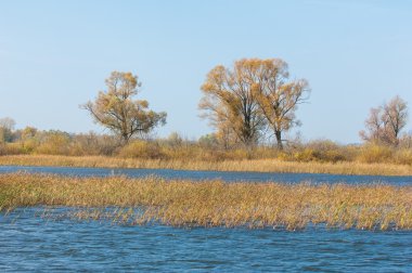 Fall river. Göl ile güzel ormanda kırmızı ve sarı renk üzerine sonbahar renkli yeşillik. Bir nehir, sonbahar yatay. Güzel bir sonbahar sahne, sonbahar