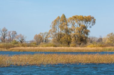 Fall river. Göl ile güzel ormanda kırmızı ve sarı renk üzerine sonbahar renkli yeşillik. Bir nehir, sonbahar yatay. Güzel bir sonbahar sahne, sonbahar