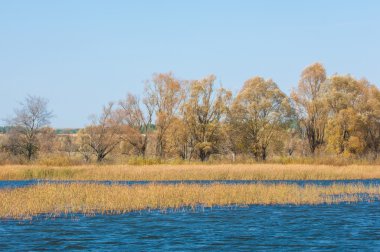 Fall river. Göl ile güzel ormanda kırmızı ve sarı renk üzerine sonbahar renkli yeşillik. Bir nehir, sonbahar yatay. Güzel bir sonbahar sahne, sonbahar