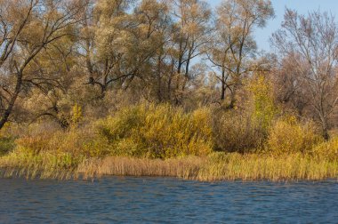 Fall river. Göl ile güzel ormanda kırmızı ve sarı renk üzerine sonbahar renkli yeşillik. Bir nehir, sonbahar yatay. Güzel bir sonbahar sahne, sonbahar