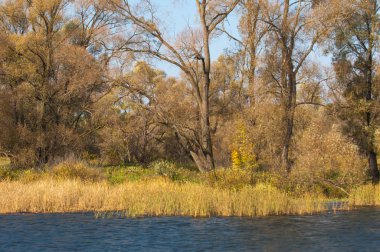 Fall river. Göl ile güzel ormanda kırmızı ve sarı renk üzerine sonbahar renkli yeşillik. Bir nehir, sonbahar yatay. Güzel bir sonbahar sahne, sonbahar