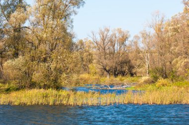 Fall river. Göl ile güzel ormanda kırmızı ve sarı renk üzerine sonbahar renkli yeşillik. Bir nehir, sonbahar yatay. Güzel bir sonbahar sahne, sonbahar