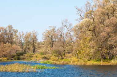 Fall river. Göl ile güzel ormanda kırmızı ve sarı renk üzerine sonbahar renkli yeşillik. Bir nehir, sonbahar yatay. Güzel bir sonbahar sahne, sonbahar