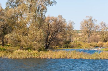 Fall river. Göl ile güzel ormanda kırmızı ve sarı renk üzerine sonbahar renkli yeşillik. Bir nehir, sonbahar yatay. Güzel bir sonbahar sahne, sonbahar