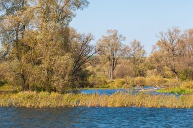 Fall river. Göl ile güzel ormanda kırmızı ve sarı renk üzerine sonbahar renkli yeşillik. Bir nehir, sonbahar yatay. Güzel bir sonbahar sahne, sonbahar