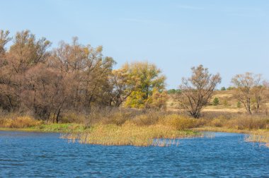 Fall river. Göl ile güzel ormanda kırmızı ve sarı renk üzerine sonbahar renkli yeşillik. Bir nehir, sonbahar yatay. Güzel bir sonbahar sahne, sonbahar