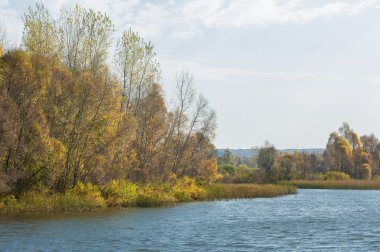 Fall river. Göl ile güzel ormanda kırmızı ve sarı renk üzerine sonbahar renkli yeşillik. Bir nehir, sonbahar yatay. Güzel bir sonbahar sahne, sonbahar
