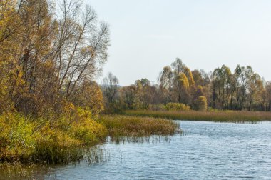 Fall river. Göl ile güzel ormanda kırmızı ve sarı renk üzerine sonbahar renkli yeşillik. Bir nehir, sonbahar yatay. Güzel bir sonbahar sahne, sonbahar