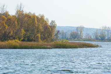 Fall river. Göl ile güzel ormanda kırmızı ve sarı renk üzerine sonbahar renkli yeşillik. Bir nehir, sonbahar yatay. Güzel bir sonbahar sahne, sonbahar