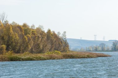 Fall river. Göl ile güzel ormanda kırmızı ve sarı renk üzerine sonbahar renkli yeşillik. Bir nehir, sonbahar yatay. Güzel bir sonbahar sahne, sonbahar