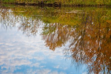 Güzel vakit yılın sonbahar Nehri üzerinde. Sonbahar manzara. Sonbahar parkta. Sonbahar parlak renkler göl kenarında parkta. 