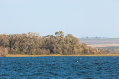 Rusya Tataristan Kama Nehri Güz. Çok renkli yeşillik bir nehir boyunca düşüş. 