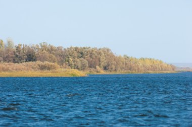 Rusya Tataristan Kama Nehri Güz. Çok renkli yeşillik bir nehir boyunca düşüş. 