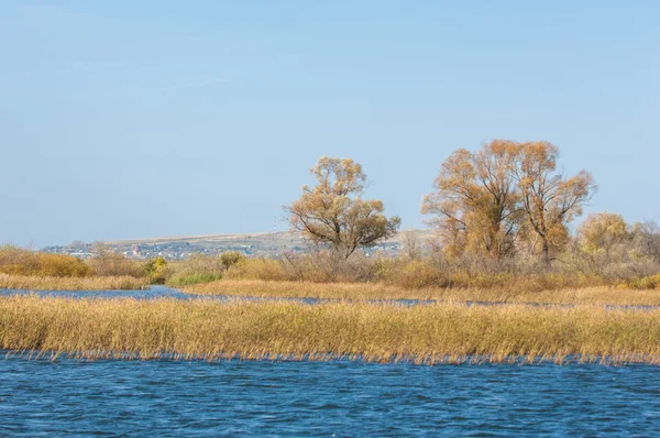 Fall River Őszi Színes Lombú Tóra Gyönyörű Erdőben Piros Sárga — Stock Fotó