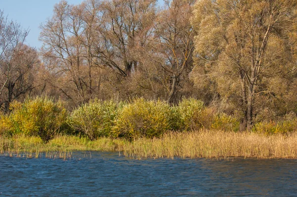Fall River Kolorowe Liście Jesienią Nad Jeziora Pięknymi Lasami Kolorze — Zdjęcie stockowe