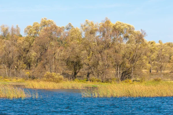 秋の川 赤と黄色の色の美しい森と湖の上のカラフルな紅葉 川ある秋の風景 美しい秋の景色 — ストック写真