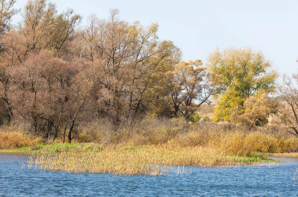 秋の川 赤と黄色の色の美しい森と湖の上のカラフルな紅葉 川ある秋の風景 美しい秋の景色 — ストック写真