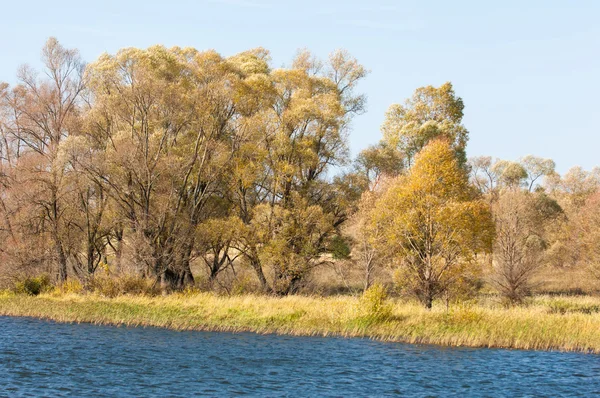 秋の川 赤と黄色の色の美しい森と湖の上のカラフルな紅葉 川ある秋の風景 美しい秋の景色 — ストック写真