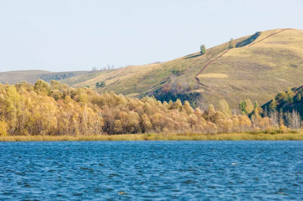 Ryssland Tatarstan Kama Floden Faller Multi Färgade Falla Lövverk Längs — Stockfoto