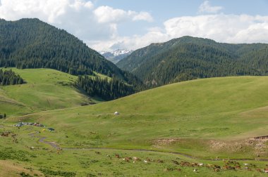 dağ, dağ, tepe. Kazakistan. Tien Shan. Takma Yaylası