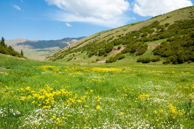 dağ, dağ, tepe. Kazakistan. Tien Shan. Takma Yaylası