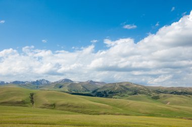 dağ, dağ, tepe. Kazakistan. Tien Shan. Takma Yaylası