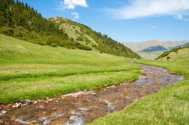 dağ, dağ, tepe. Kazakistan. Tien Shan. Takma Yaylası
