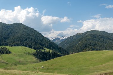 dağ, dağ, tepe. Kazakistan. Tien Shan. Takma Yaylası