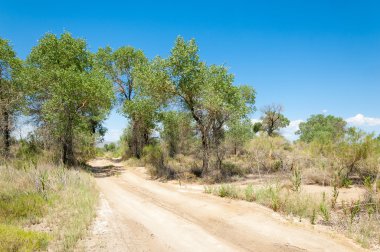 Bozkır yaz. Turgai Kaydet. Çölde Gölü