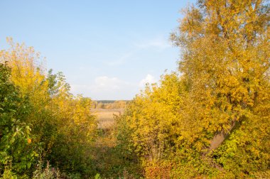 Sonbahar, Güz, yaprak sonbahar, sonbahar yaprak. yaprakları ve otelde bitkileri ve meyve toplandık yılın üçüncü sezon sonbahar
