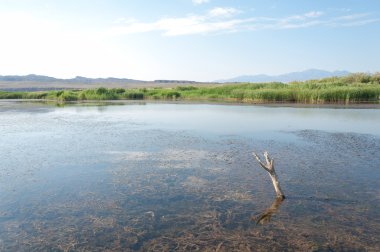  Bozkır yaz. Turgai kapısı. Turgai Kaydet. Milli Parkı 