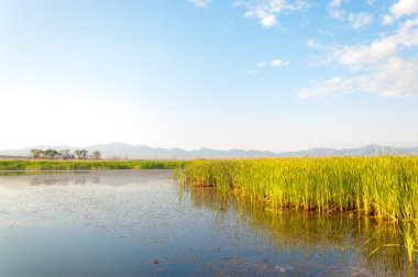  Bozkır yaz. Turgai kapısı. Turgai Kaydet. Milli Parkı 
