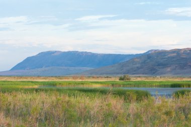 Bozkır yaz. Turgai Kaydet. Çölde Gölü