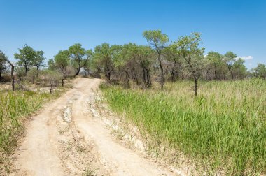  Bozkır yaz. Turgai kapısı. Turgai Kaydet. Milli Parkı 