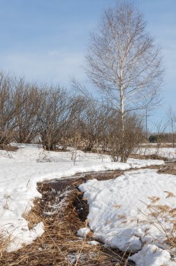 Brook bahar. güneşli bir bahar brooks suda eriyen doku. nehir dere dere. Bahar Nehri üzerinde buz erime. 
