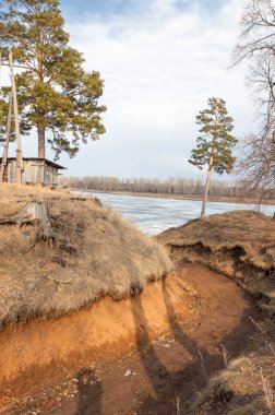 Bahar çam ormanı. Nehir buz. bahar mevsimi. Bahar, Bahar, springtide, birinci sınıf. sezon sonra kış ve yaz önce hangi bitki örtüsü gelmeye başladı, 