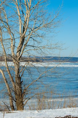Nehir sel. Nehir buz yırtılmış. Nehir son buz ile. Rusya Tataristan Kama Nehri erken Bahar