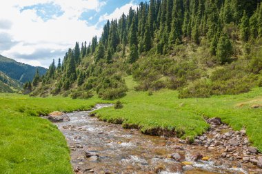 dağ, dağ, tepe. Kazakistan. Tien Shan. Takma Yaylası