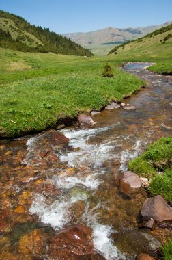 dağ, dağ, tepe. Kazakistan. Tien Shan. Takma Yaylası