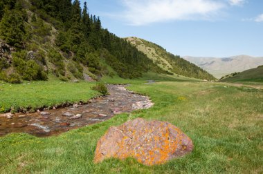 dağ, dağ, tepe. Kazakistan. Tien Shan. Takma Yaylası