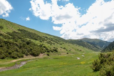 dağ, dağ, tepe. Kazakistan. Tien Shan. Takma Yaylası