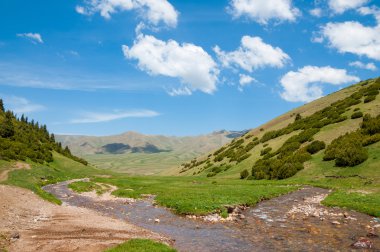 dağ, dağ, tepe. Kazakistan. Tien Shan. Takma Yaylası